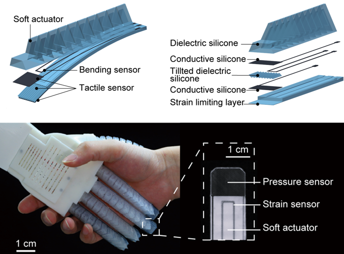 Soft robotic systems